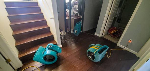 Best Water damage restoration process  in Lake Shore, MD