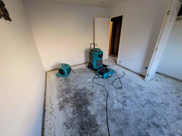 Carpet water damage restoration in MD