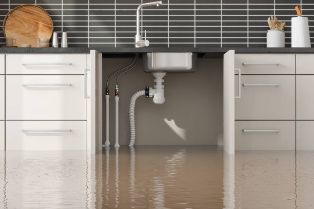 Best Emergency water damage restoration  in Lake Shore, MD