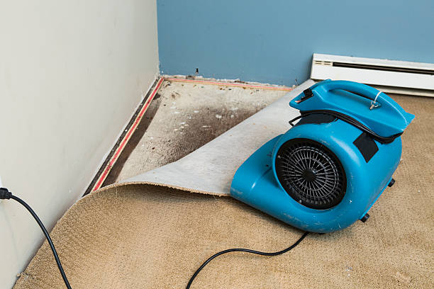 Best Fire Damage Restoration  in Lake Shore, MD